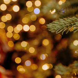 Très gros plan d'une branche de sapin de Noël. Des guirlandes illuminent l'arrière plan.